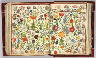 Stránky z alba Amicorum Philippa Hainhofera, 1596-1633 od Unbekannt