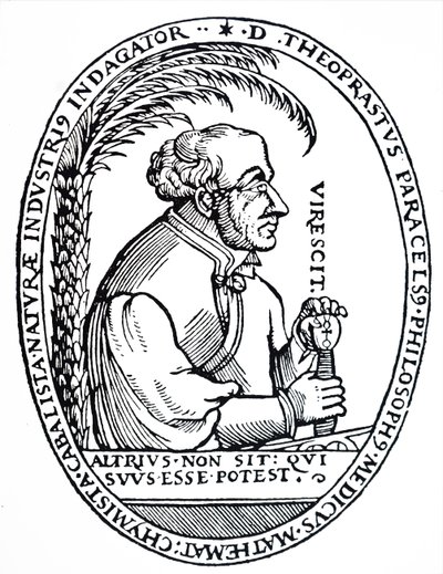 Paracelsus. od Unbekannt