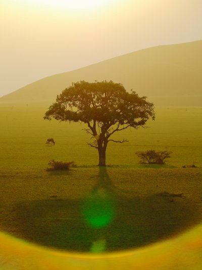 Ráj po dešti, Chyulu Hills, 2018 (fotografie) od Unbekannter Künstler
