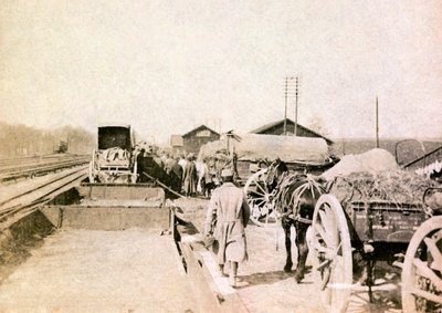 Fotografie z osobního alba poručíka pěchoty během prvních měsíců první světové války od Unbekannt
