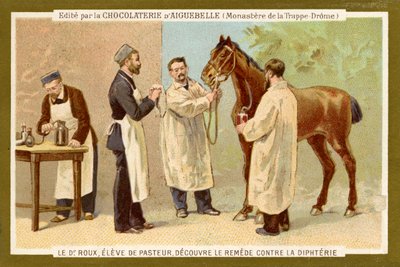 Pierre Paul Émile Roux od Unbekannter Künstler