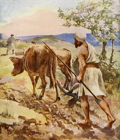 Oráč pracující s pluhem taženým volským potahem od Unbekannter Künstler