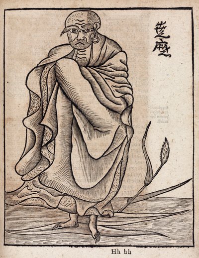 Portrét Day Bodhidharma (v od Unbekannt