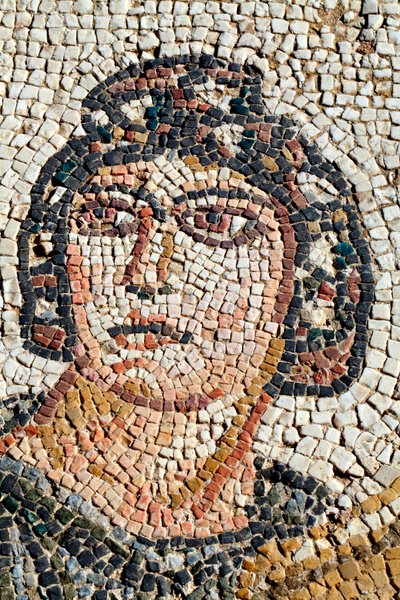 Portrét Ambrosie - Symbol jídla a nesmrtelnosti bohů - Detail z panelu představujícího první Achillovu koupel - Mozaiky Paphos, Théseova vila, 5. století našeho letopočtu - Kypr - Portrét Ambrosie, symbol jídla bohů a immotalit od Unbekannt