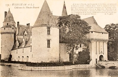 Pohlednice / Chateau de Plessis Bourre / Ecuille / Maine et Loire / Pays de Loire / Francie od William M. Timlin