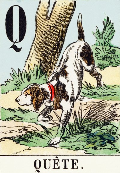 Q : Quete - AThe Hunting Alphabet, c.1890 (rytina) od Unbekannt