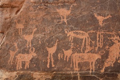 Skalní umění, pravěk: Detail rytiny souboru pštrosů a dobytka v masivu Uweinat, Egypt (období 8000 až 3000 let před naším letopočtem). Fotografování od Unbekannt