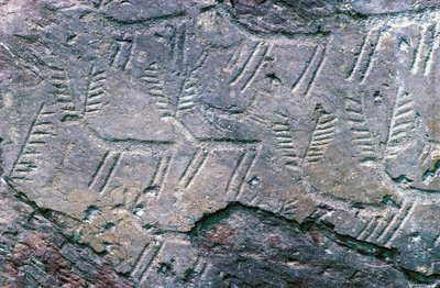 Skalní rytiny v Národním archeologickém parku Massi di Cemmo, Val Camonica (Seznam světového dědictví UNESCO od William M. Timlin