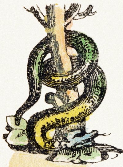 S - Serpent - Child Entertainment Alphabet c.1890 (litografie) od Unbekannt