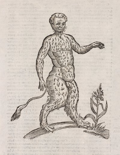 Satyrs jiný druh od Unbekannt