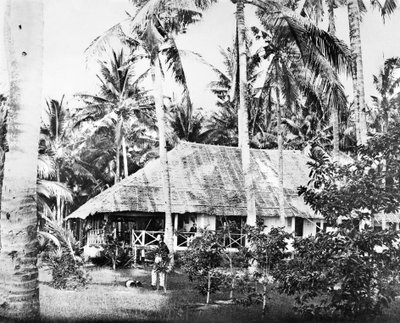 Singapur: Soukromý bungalov obklopený palmami. Singapur, c1875 od Unbekannt