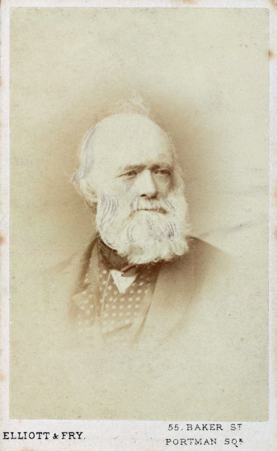 Sir Charles Lyell, anglický geolog, c1865-1875 od Unbekannt