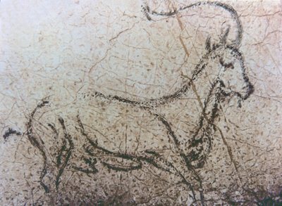 Španělská koza, paleolit, asi 40 000–12 000 př. n. l. (skalní malba) od Unbekannter Künstler