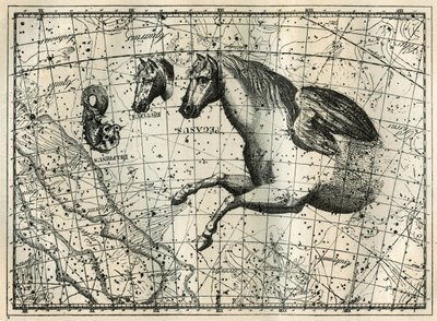 Souhvězdí Pegase kreslí jako přední polovina koně s párem křídel, Malý kůň, koňská hlava a delfín. Rytina z „Les étoiles et les autres curiosites du ciel“ od Camille Flammarion od Unbekannt