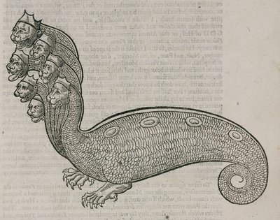 Hydra od Unbekannt