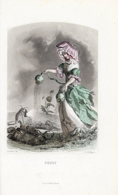 Poplatek za mák sype opiové lusky na drogy z koleopter a sarančat - Eau forte od Charlese Geoffroye (1819-1882) podle ilustrace Jeana Ignace Isidora Gerarda dit J.J.Granville (1803-1847) pro Les fleurs animees. od Unbekannter Künstler