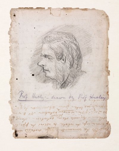 Thomas Henry Huxley, anglický biolog, polovina konce 19. století od Unbekannt