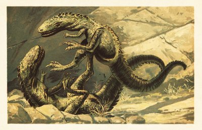 Dva bojující Dryptosaurus aquilunguis. 1908 (litografie) od Unbekannter Künstler