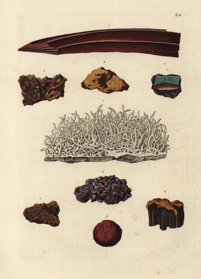 Odrůdy železné rudy. Ručně kolorovaná mědirytina podle ilustrace z knihy Georga Wolfganga Knorra Deliciae Naturae Selectae of Kabinet van Zeldzaamheden der Natuur, Blusse and Son, Norimberk. od Unbekannter Künstler