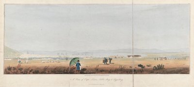 Pohled na Kapské Město, Stolový záliv a kopce Tygerberg (Jihoafrická republika). Litografie (26,5x53,5 cm), J.W. Burchell od Unbekannter Künstler