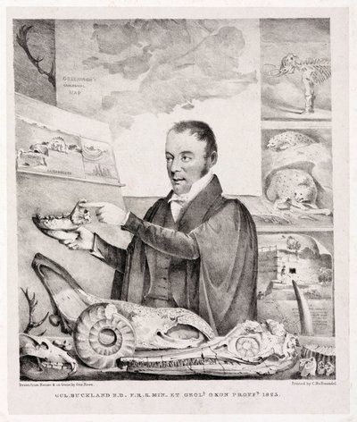William Buckland , geolog od Unbekannt