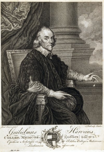William Harvey, anglický lékař od Unbekannt