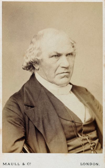 William Whewell, anglický polymath, c 1866-1879 od Unbekannt