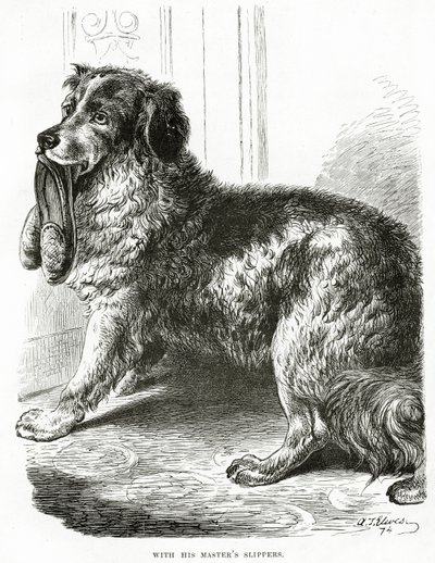S pantoflemi svého pána 1902 (litho) od Unbekannt