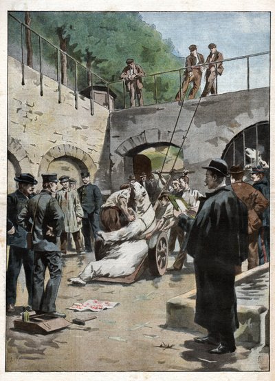 Zoo du Jardin des Plantes. Zoo v Jardin des Plantes. od Nicolas Liez