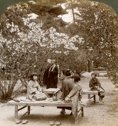 Rodina užívající si piknik pod rozkvetlou třešní, Omuro Gosho, Kyoto, Japonsko, 1904. od Underwood and Underwood