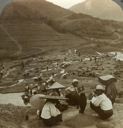 Bagrování koryta řeky na rubíny, Mogok, Barma, 1900. od Underwood and Underwood