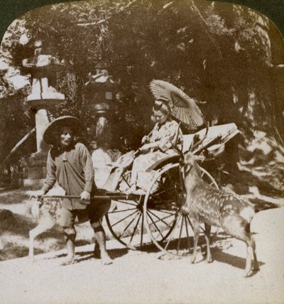 Dívka krmící posvátné jeleny na cestě k modlitbám, areál chrámu Kasuga, Nara, Japonsko, 1904 od Underwood and Underwood