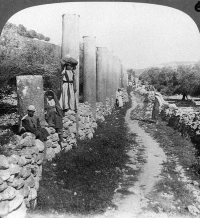 Herodova ulice sloupů, Samaří, Palestina Izrael, 1905. od Underwood and Underwood
