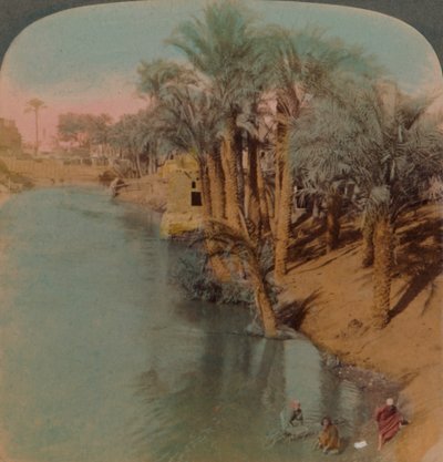 Ve Fayum, nejbohatší oáze v Egyptě na Bahr Yussef River Joseph, k Nilu, 1902. Umělci: Elmer Underwood, Bert Elias Underwood. od Underwood and Underwood