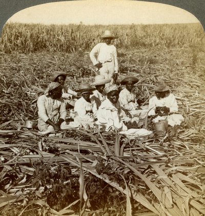 Na cukrové plantáži La Union, San Luis, provincie Santiago, Kuba, 1899. od Underwood and Underwood