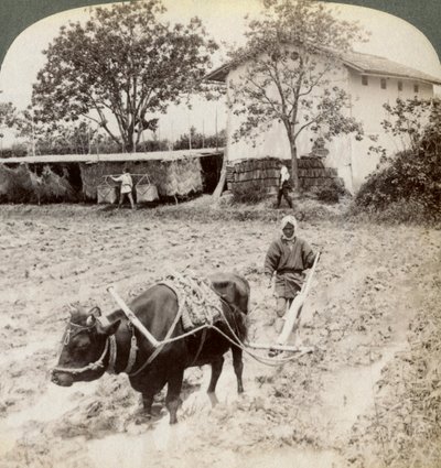 Orba zatopené půdy pro pěstování rýže, severně od hlavní silnice v Uji, poblíž Kjóta, Japonsko, 1904. od Underwood and Underwood