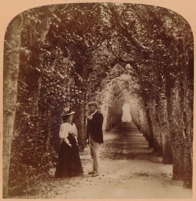 Queen Marys Bower, Hampton Court, Londýn, Anglie, 1896. od Underwood and Underwood