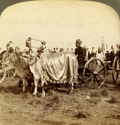 Stříbrné dělo maharádže z Baroda, Dillí, Indie. od Underwood and Underwood