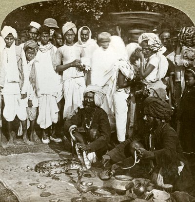 Zaříkávač hadů, Kalkata, Indie, 1900. od Underwood and Underwood