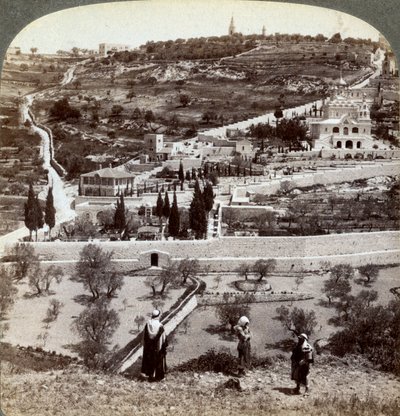 Getsemanská zahrada a Olivová hora, Palestina, 1908. od Underwood and Underwood