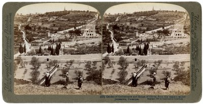 Getsemanská zahrada a Olivová hora, Palestina, 1908. od Underwood and Underwood
