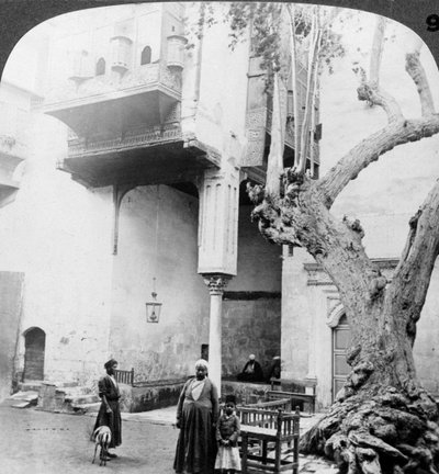 Okna harému na dvoře bohatého Cairenes domu, Káhira, Egypt, 1905. od Underwood and Underwood