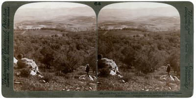 Planina Dothan, Palestina, 1900. od Underwood and Underwood