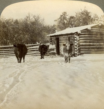 Zima na ranči, Montana, USA. od Underwood and Underwood