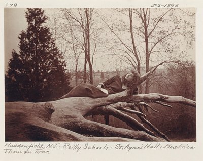 [Beatrice Thom na stromě, Haddonfield, New Jersey] od Unidentified