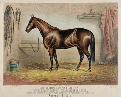 Slavný klusácký hřebec Woodford Mambrino od Unidentified