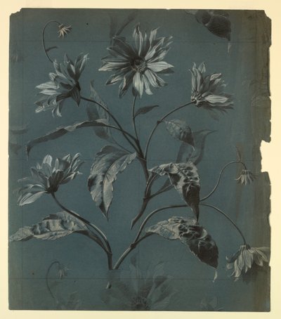 Design pro tapetu nebo textil z květu typu Daisy s opakováním od Unknown