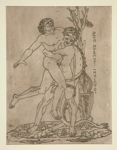 Herkules a Antaeus od Unknown