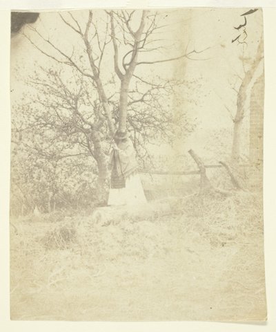 paní Craiková od Unknown