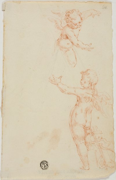 Dva okřídlení putti, jeden létající od Unknown